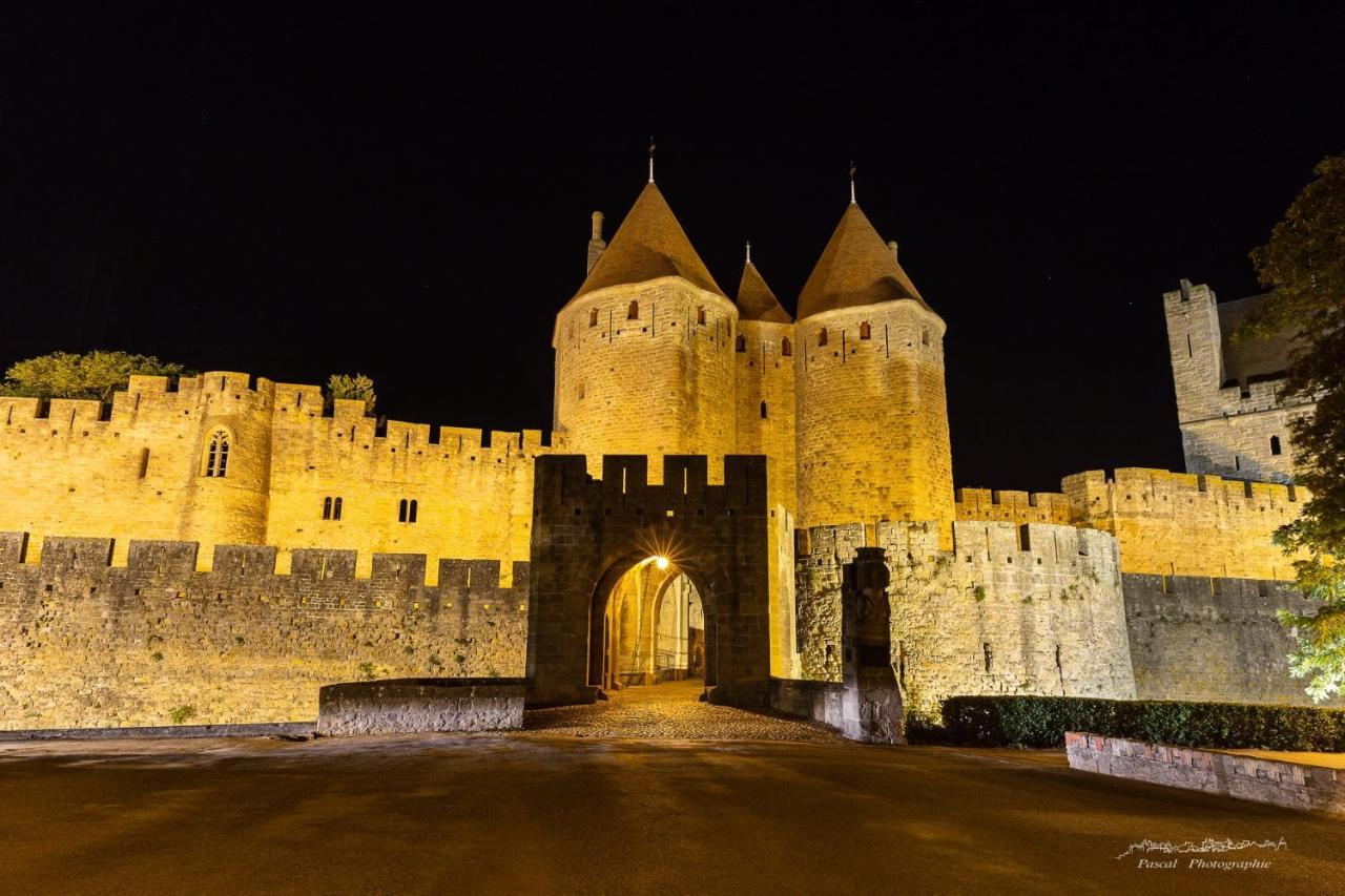 Hotel L'Aragon Carcassonne Eksteriør billede